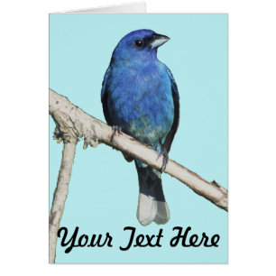 Indigo Bunting