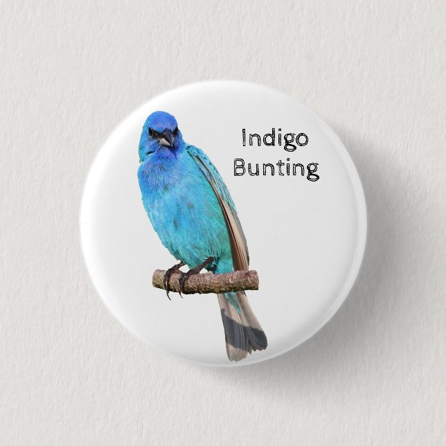 Indigo Bunting Button (Vorderseite)