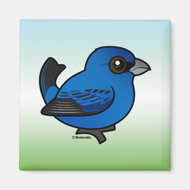 Indigo Bunting Magnet (Vorne)