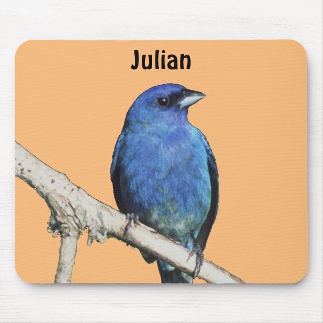 Indigo Bunting Mousepad (Vorne)