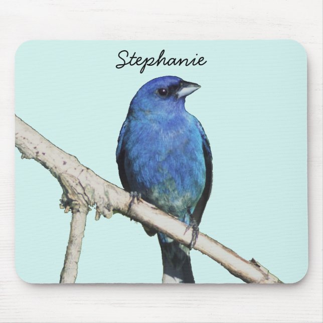 Indigo Bunting Mousepad (Vorne)
