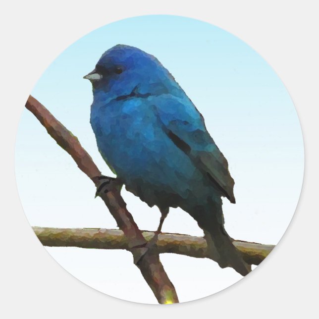 Indigo Bunting Runder Aufkleber (Vorderseite)