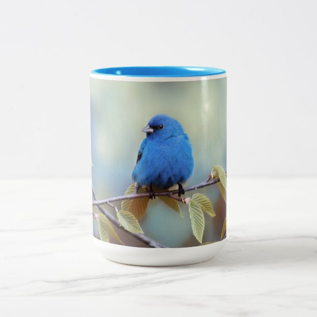 Indigo Bunting Tasse (Mittel)