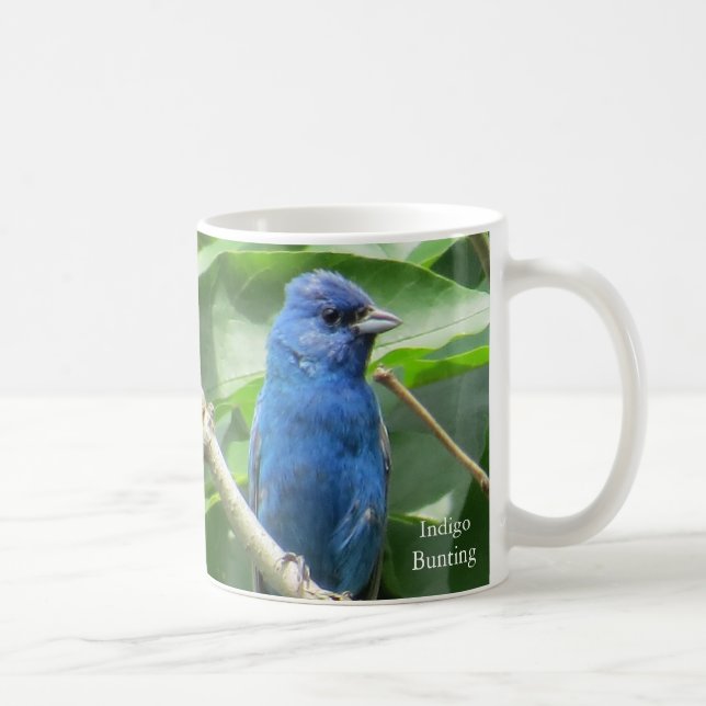 Indigo Buntings Kaffeezubereitung durch BirdingCol Kaffeetasse (Rechts)