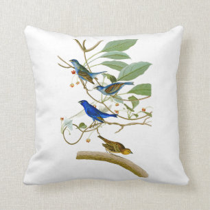 Indigo-Flaggen-John James Audubon-Vögel von Kissen