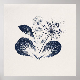 Indigo Lunaria Allium Botanische Cyanotypie Poster
