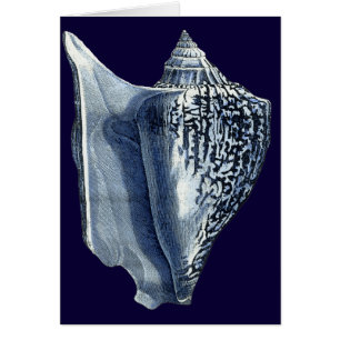 Indigo-Muscheln I