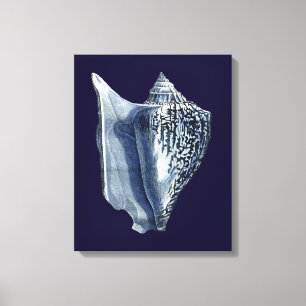 Indigo-Muscheln I Leinwanddruck