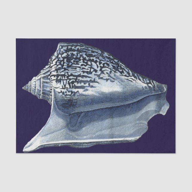 Indigo-Muscheln I Seidenpapier (Vorderseite)