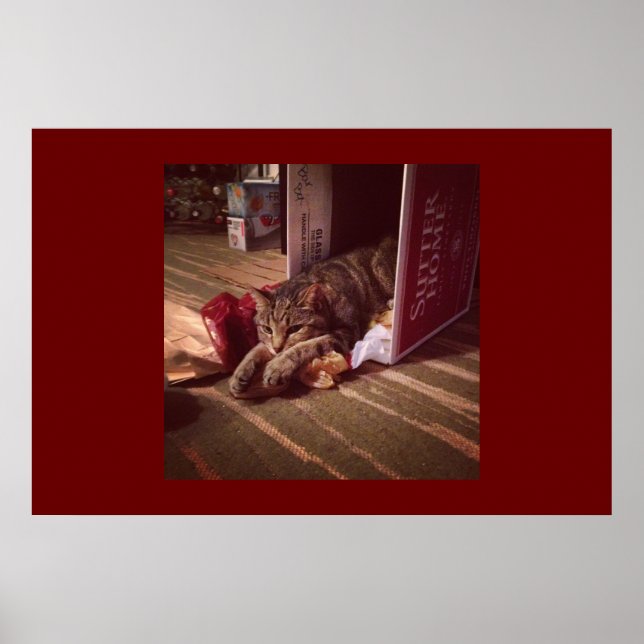 Indigo Poster (Vorne)