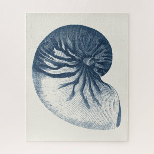 Indigo Shark Eye Seashell