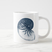 Indigo Shark Eye Seashell