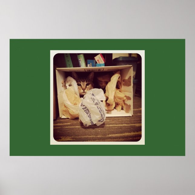 Indigo's Secret Hideout Poster (Vorne)