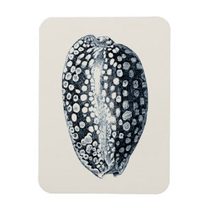 IndigoSeashell Magnet