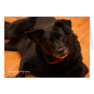 Indisch, Glorydaysphotographie