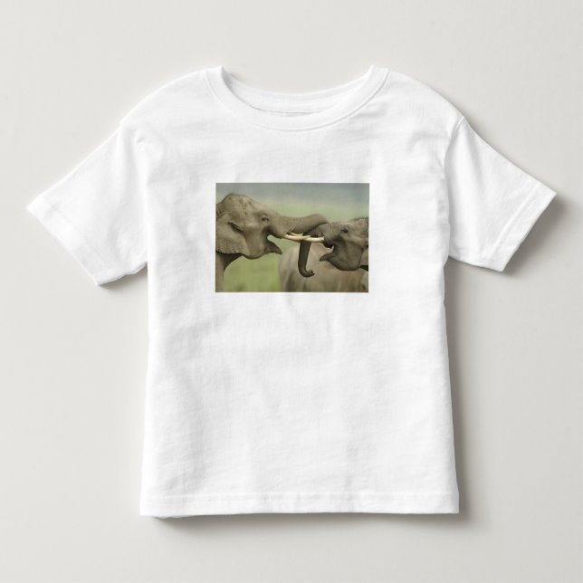Indische asiatische Elefanten kämpfen Kleinkind T-shirt (Vorderseite)