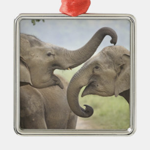 Indische Asiatische Elefanten spielen kämpfend Ornament Aus Metall
