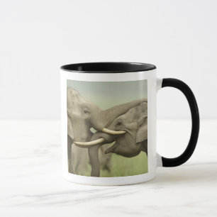 Indische Asiatische Elefanten spielen kämpfend Tasse