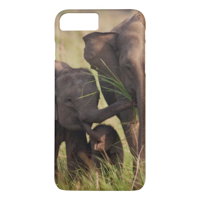 Indische asiatische Elefantenfamilie in der Savann Case-Mate iPhone Hülle (Rückseite)