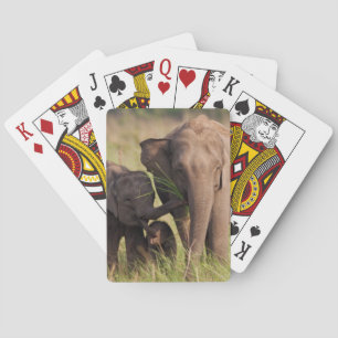 Indische Asiatische Elefantenfamilie in der Savann Spielkarten