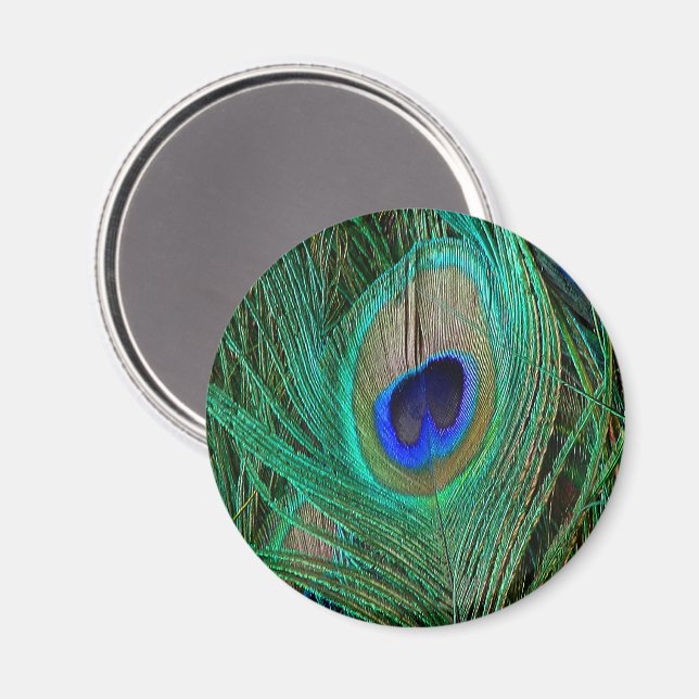 Indische Blaupfauenfresser Magnet (Vorderseite/Rückseite)