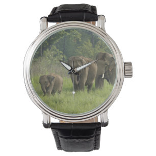 Indische Elefantenfamilie Armbanduhr