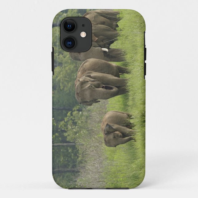 indische Elefantenfamilie Case-Mate iPhone Hülle (Rückseite)
