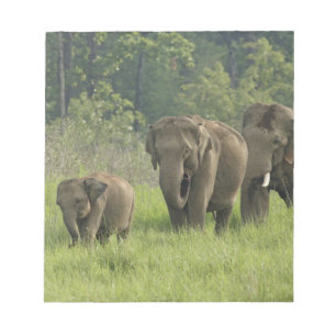 indische Elefantenfamilie Notizblock