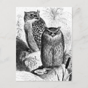 Indische Fischuhren Vintage-Holzschnitt Postkarte