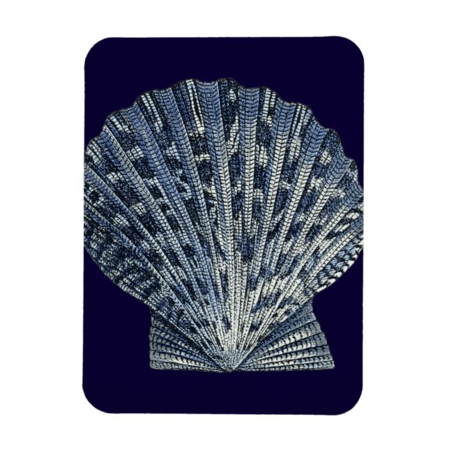 Indische Muscheln VIII Magnet (Vertikal)