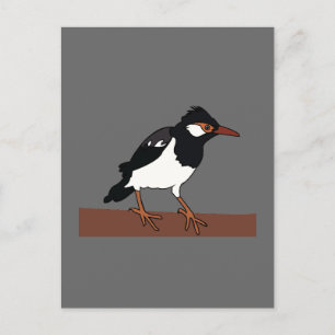 Indische Pied Myna Vogel Kunst Postkarte