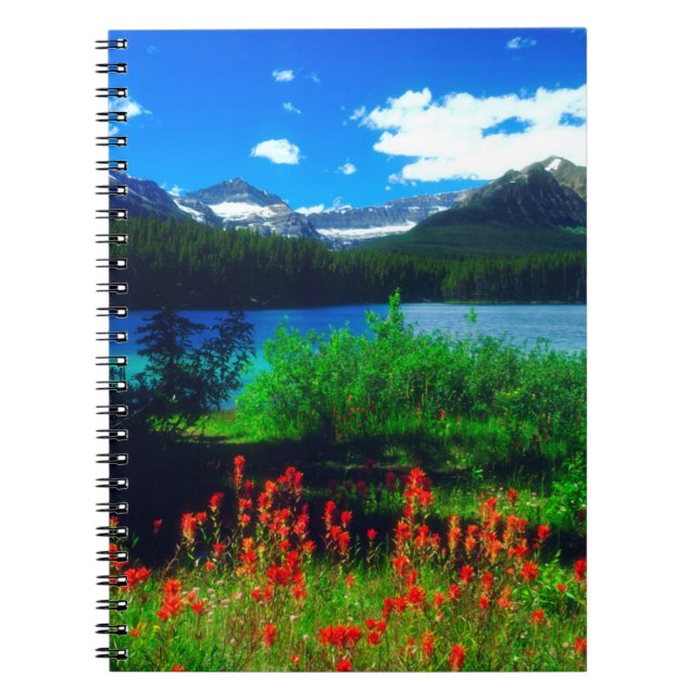 Indische Pinsel-Wildblumen Notizblock (Vorderseite)