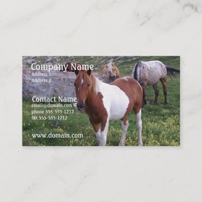 Indische Pony-Visitenkarte Visitenkarte (Vorderseite)