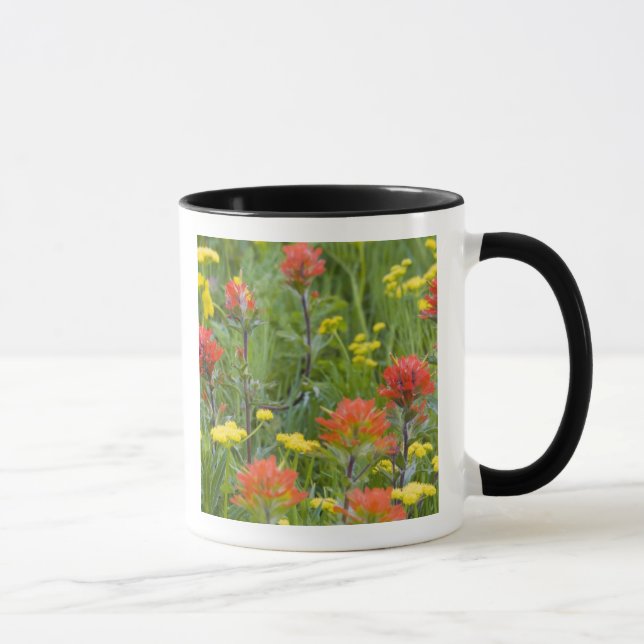 Indische Wildblumen aus Malerpinsel und Kekswurzel Tasse (Rechts)