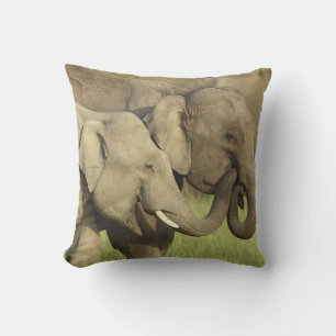 Indischer Asiatischer Elefant Kissen