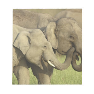 Indischer Asiatischer Elefant Notizblock