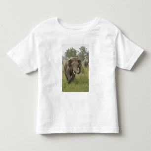 Indischer Asiatischer Elefantengruß Kleinkind T-shirt