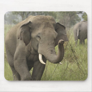 Indischer Asiatischer Elefantengruß Mousepad