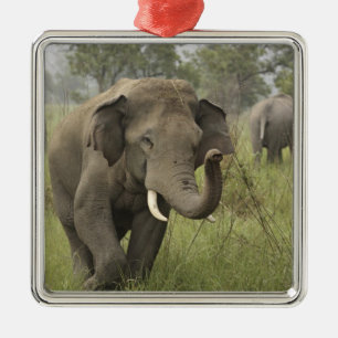 Indischer Asiatischer Elefantengruß Silbernes Ornament