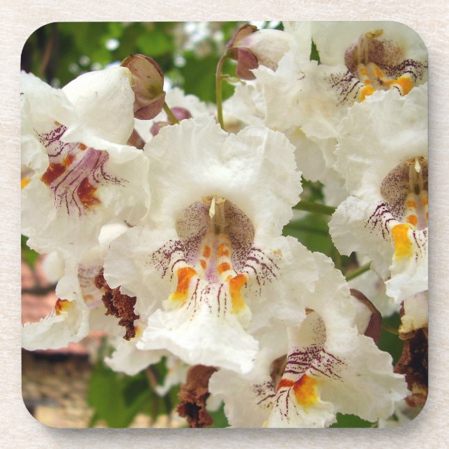 Indischer Beanenbaum Blume harter Untersetzer (Vorderseite)