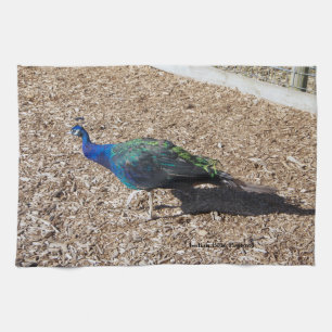 Indischer Blau-Pfau Küchenhandtuch Geschirrtuch