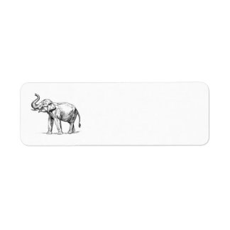 Indischer Elefant