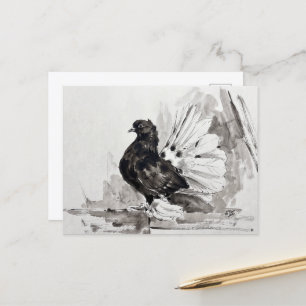 Indischer Fantailschwanz-Taube Eyeliner Henne Postkarte