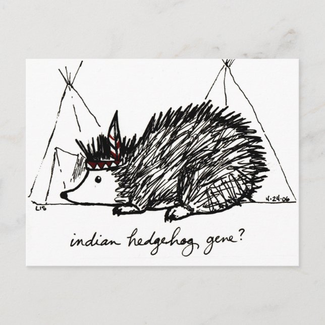 Indischer Igel Gene Postcard Postkarte (Vorderseite)