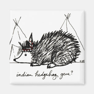 Indischer Igels-Genmagnet Magnet