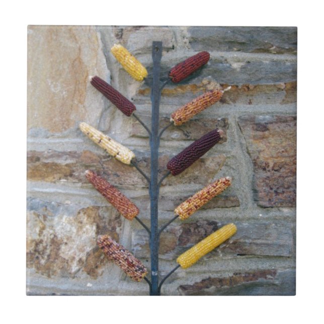 Indischer Mais Fliese (Vorderseite)