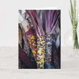 'Indischer Mais' leere Grußkarte Karte