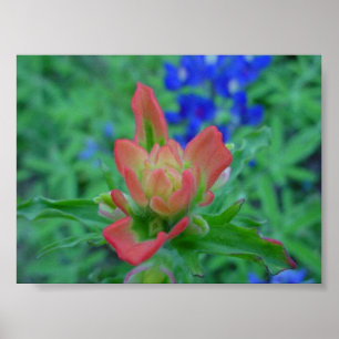 Indischer Malerpinsel Poster