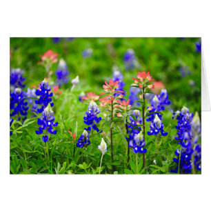 Indischer Malerpinsel und Bluebonnets
