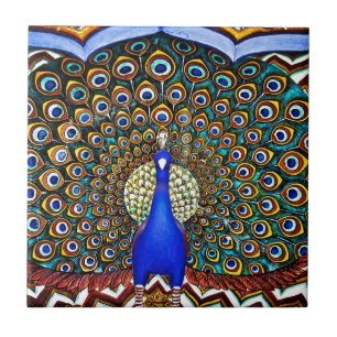 Indischer Pfau Fliese